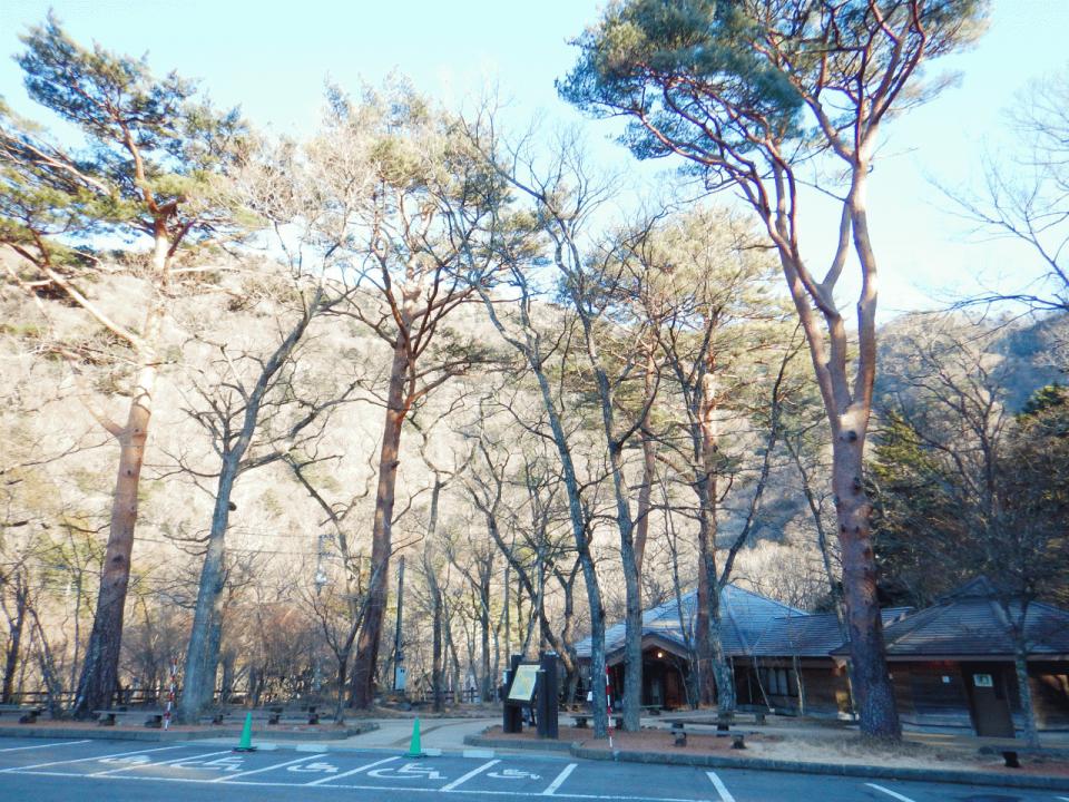 �{���̎ʐ^�Œ�_�ϑ�