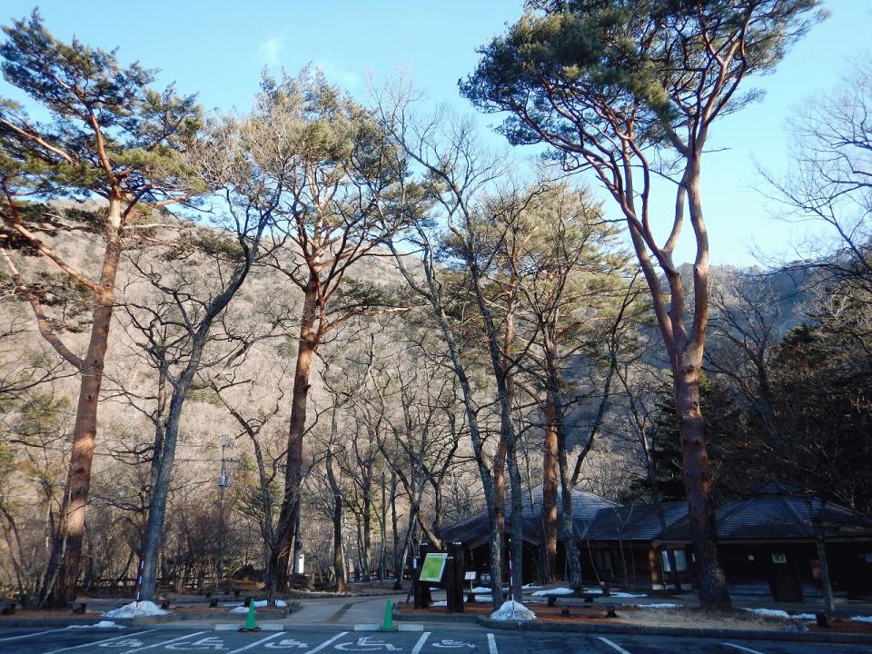 �{���̎ʐ^�Œ�_�ϑ�