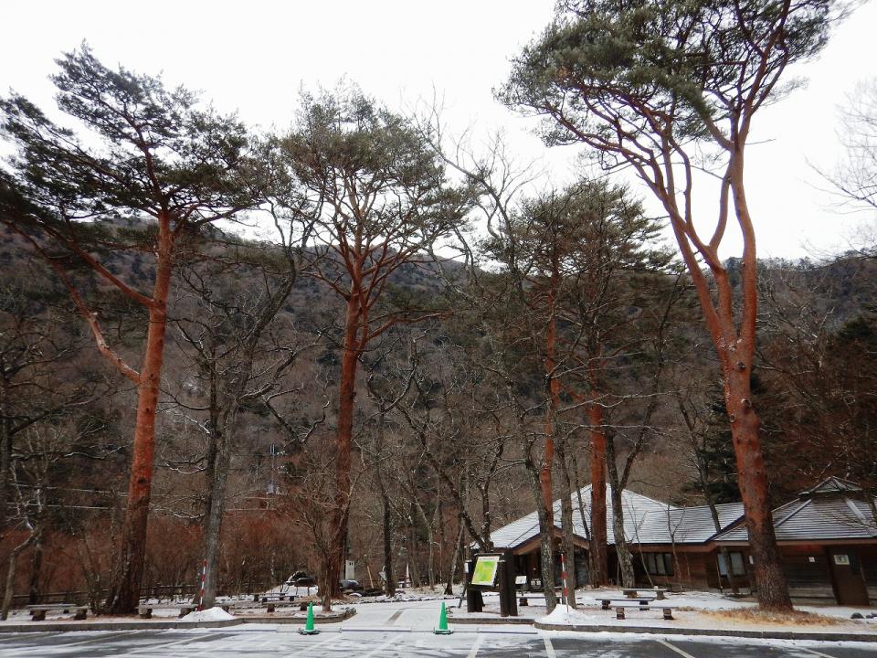 �{���̎ʐ^�Œ�_�ϑ�