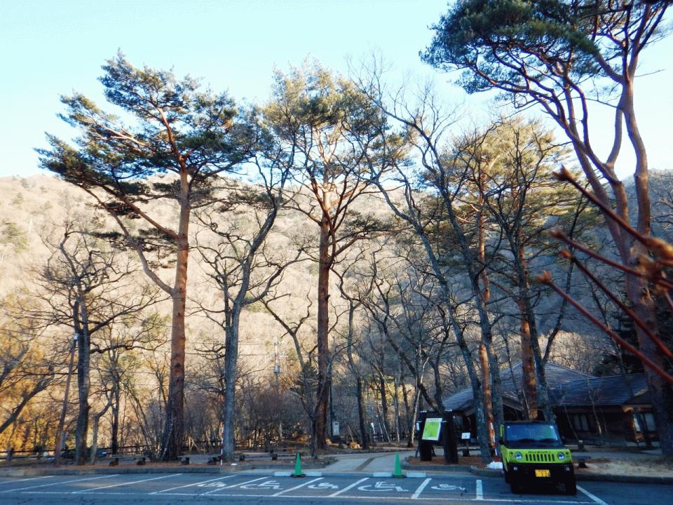 �{���̎ʐ^�Œ�_�ϑ�