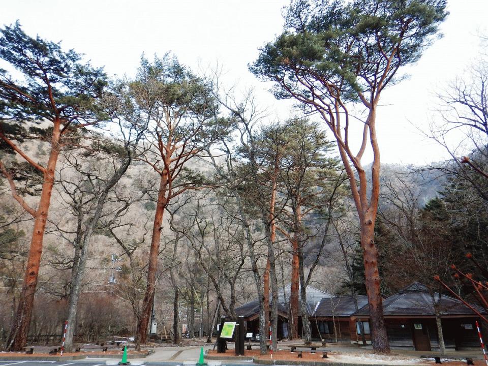 �{���̎ʐ^�Œ�_�ϑ�