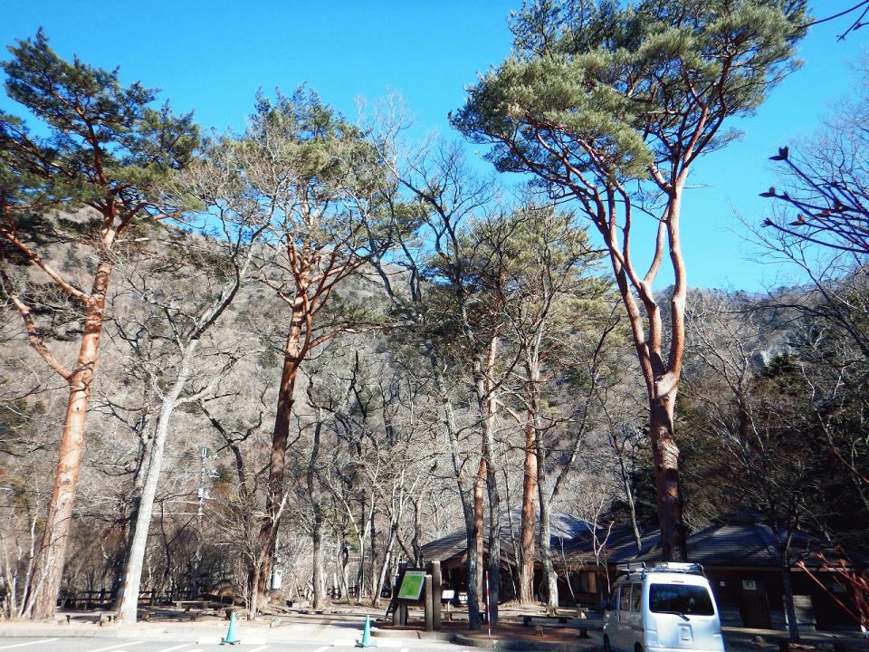 �{���̎ʐ^�Œ�_�ϑ�