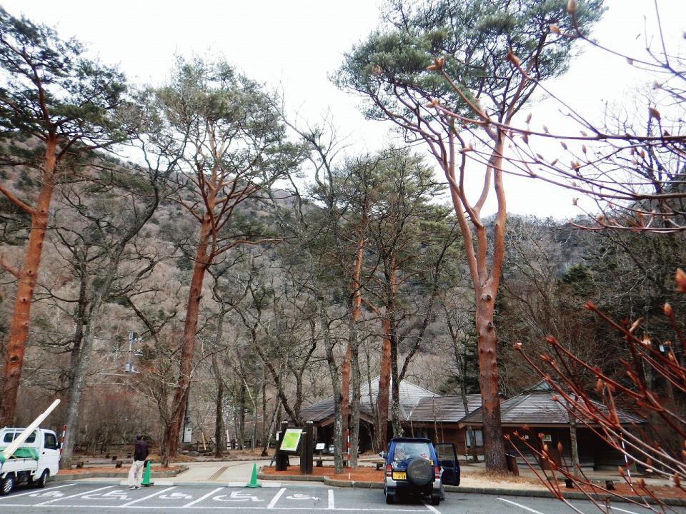 �{���̎ʐ^�Œ�_�ϑ�