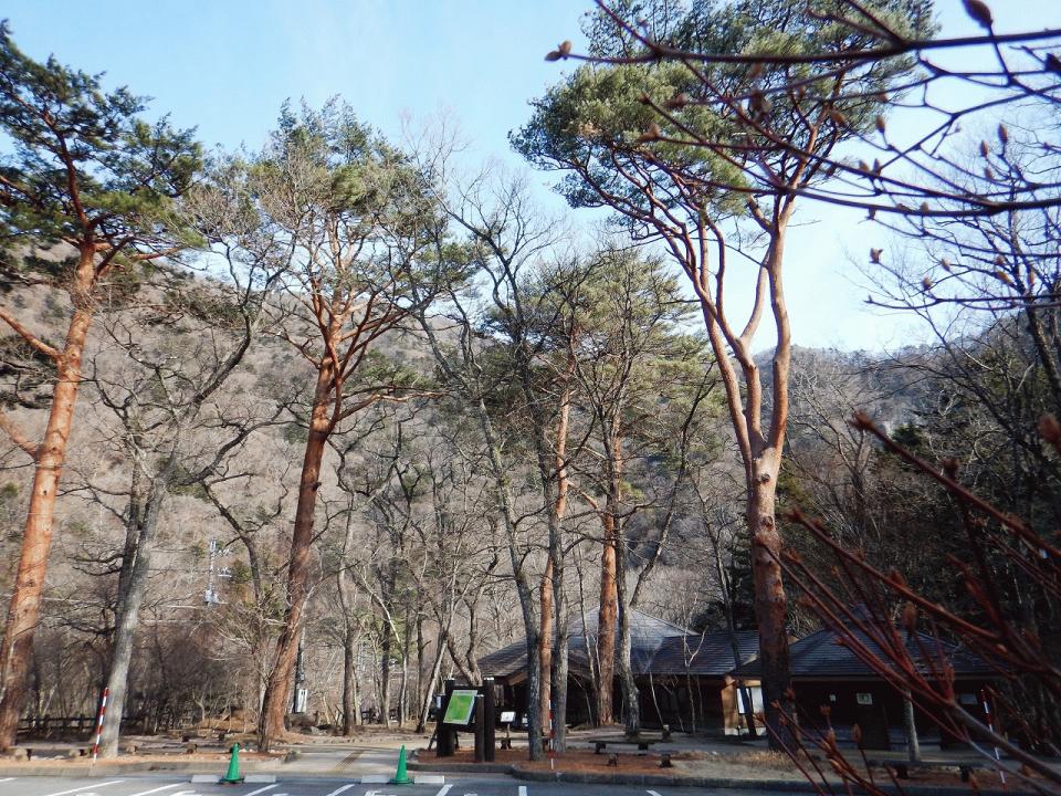 �{���̎ʐ^�Œ�_�ϑ�