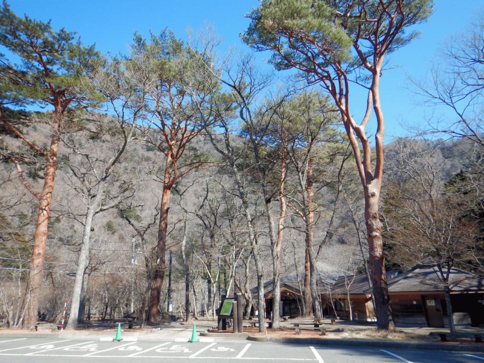 �{���̎ʐ^�Œ�_�ϑ�