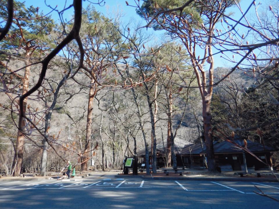 �{���̎ʐ^�Œ�_�ϑ�