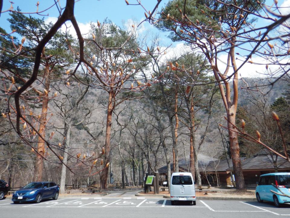 �{���̎ʐ^�Œ�_�ϑ�