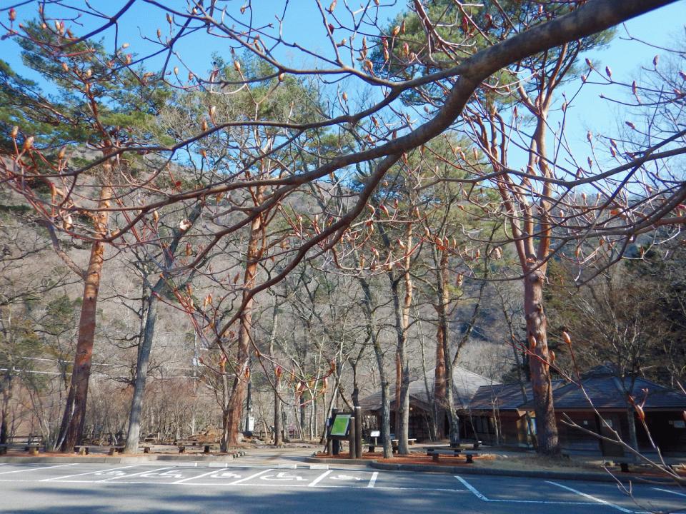 �{���̎ʐ^�Œ�_�ϑ�