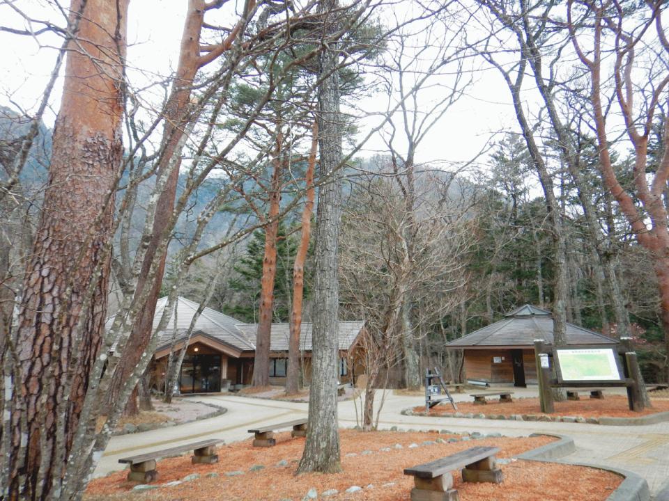 �{���̎ʐ^�Œ�_�ϑ�