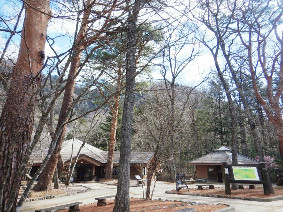 �{���̎ʐ^�Œ�_�ϑ�