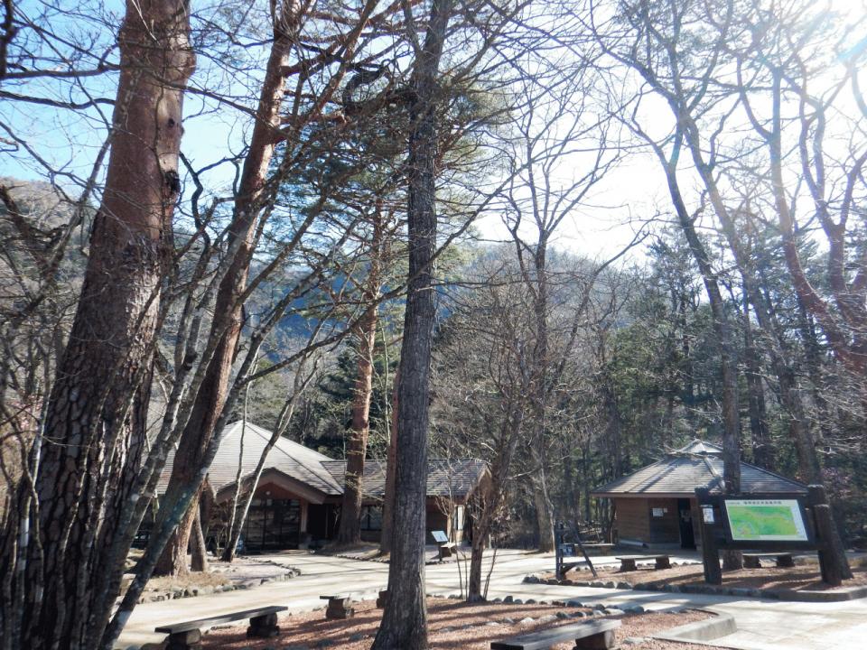 �{���̎ʐ^�Œ�_�ϑ�