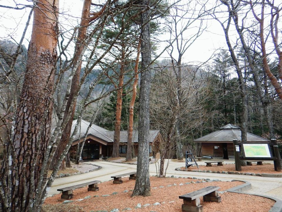 �{���̎ʐ^�Œ�_�ϑ�