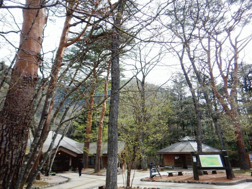 �{���̎ʐ^�Œ�_�ϑ�