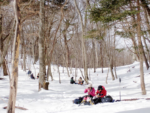 ��������r�W�^�[�Z���^�[ �X�V���