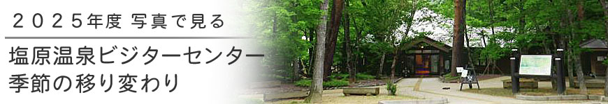 2024�N�x�G�߂̈ڂ�ς��