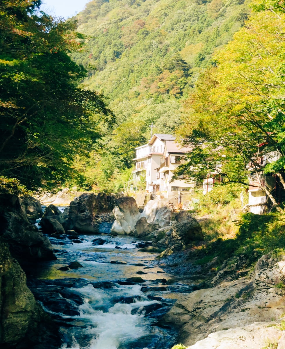 豊かな自然に調和して、居心地のよいまち