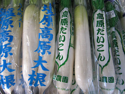 盐原高原白萝卜