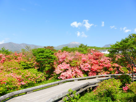 那须高原