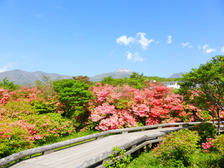 Nasu-Kogen