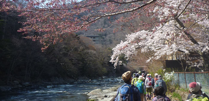 Shiobara Onsen Spring