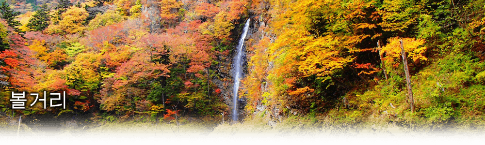볼거리
