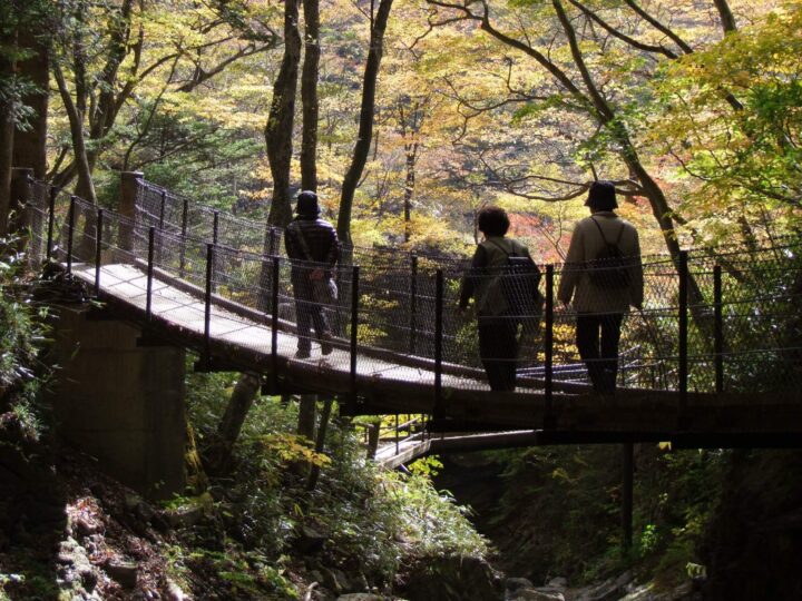 竜化の吊橋