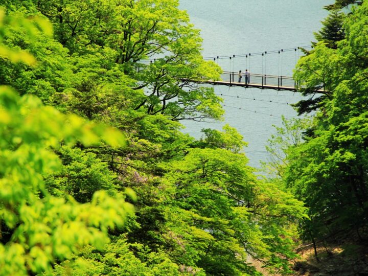 回顧の吊橋