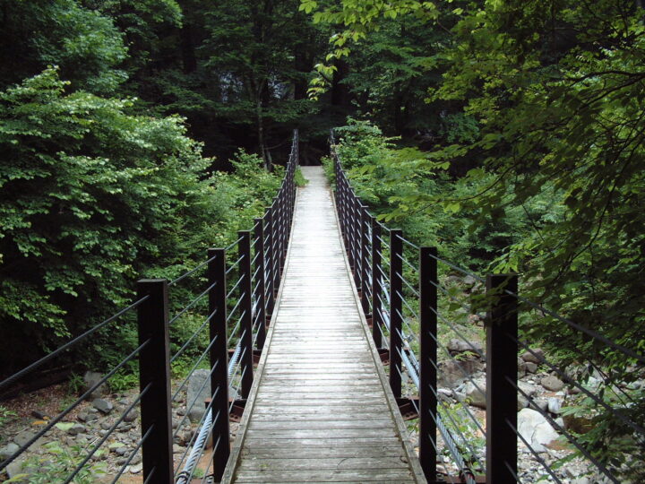 咆哮霹靂の吊橋　