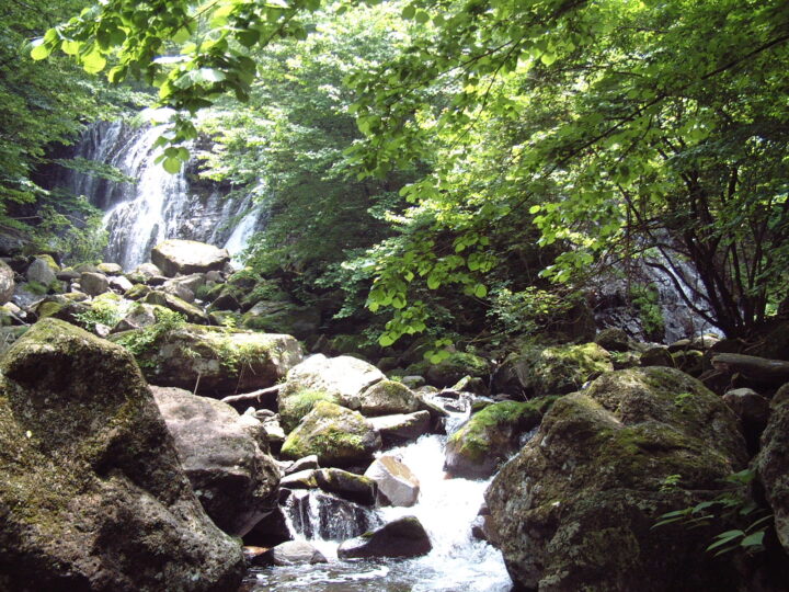 咆哮霹靂の滝