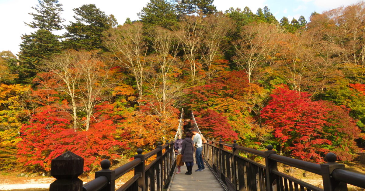塩原温泉郷ともみじ谷大吊橋の紅葉