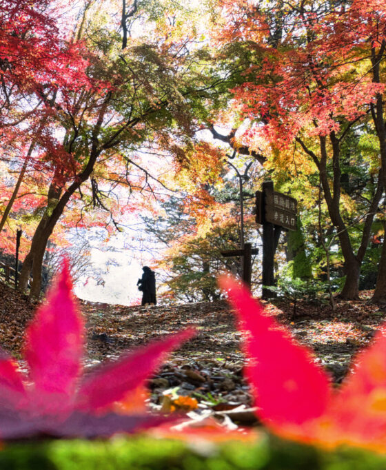 おススメ紅葉スポット　塩原渓谷を満喫しよう♪