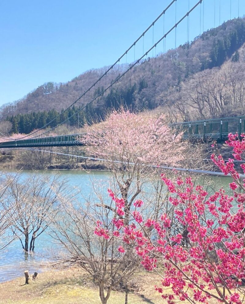 2026年春のイベント情報