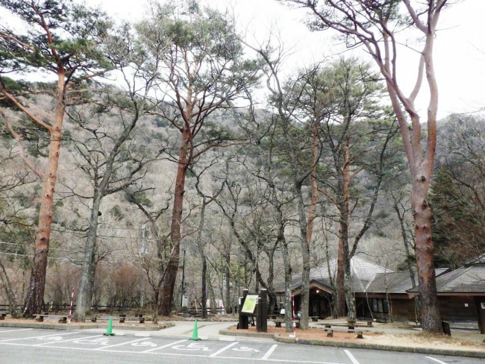 �{���̎ʐ^�Œ�_�ϑ�