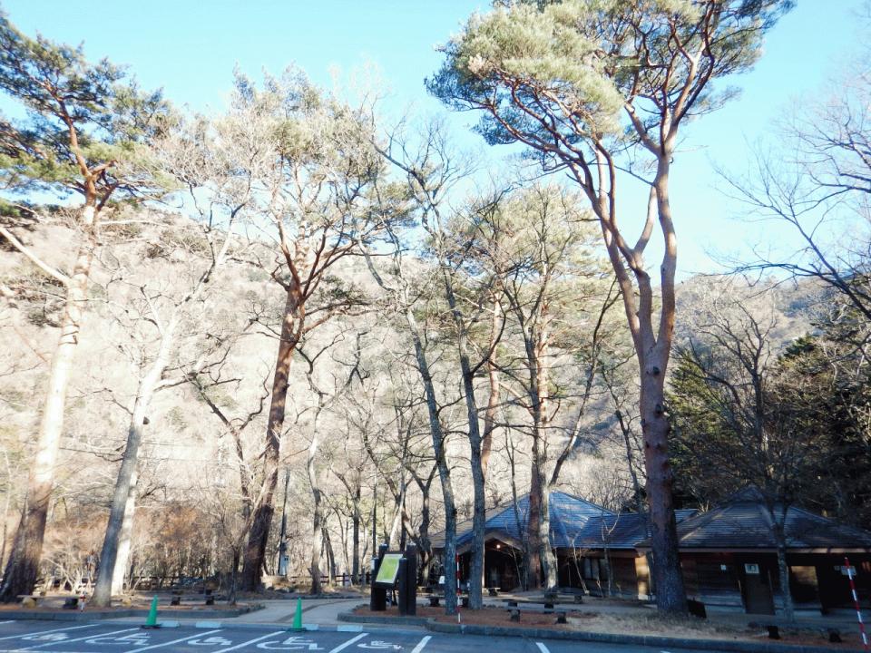 �{���̎ʐ^�Œ�_�ϑ�