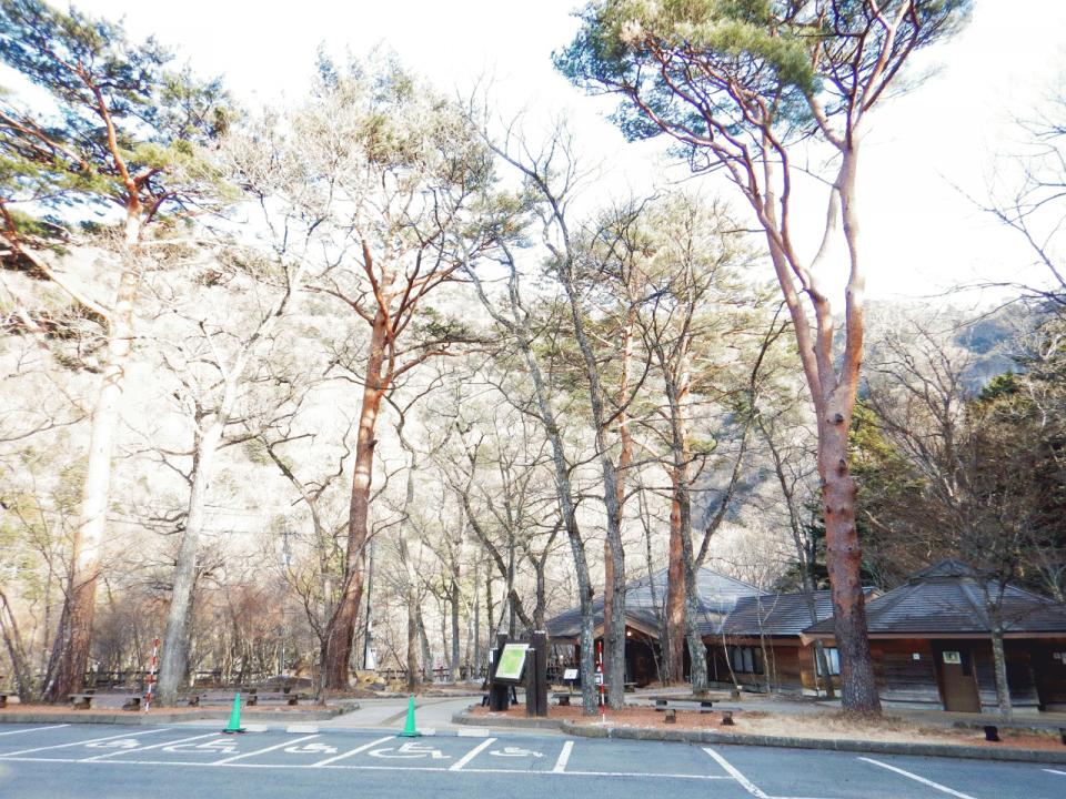 �{���̎ʐ^�Œ�_�ϑ�