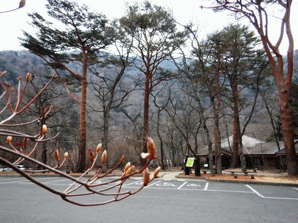 �{���̎ʐ^�Œ�_�ϑ�