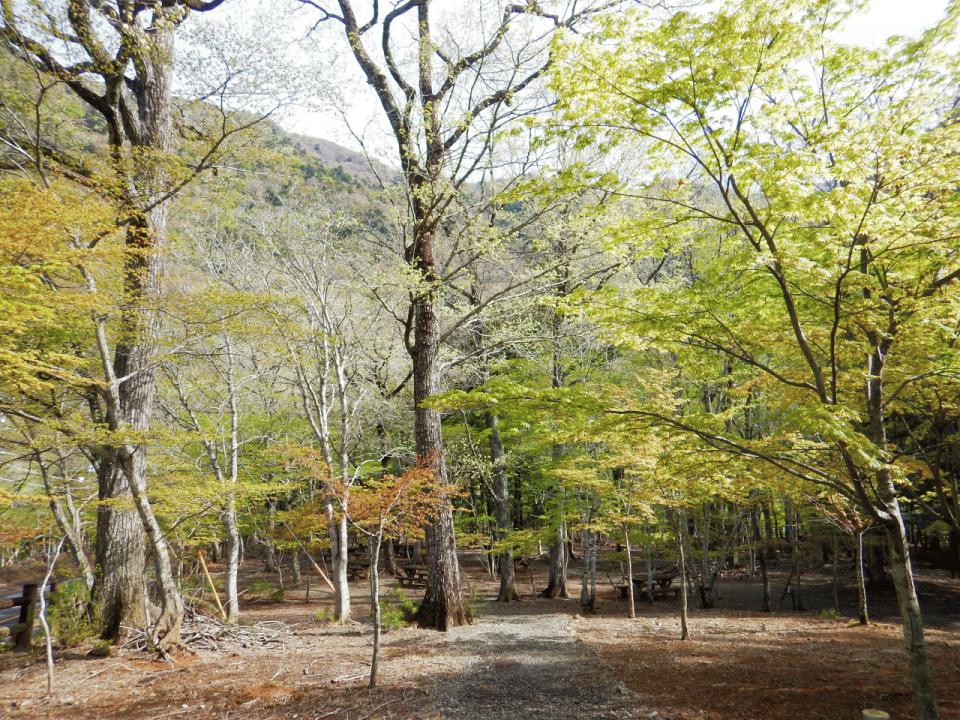 �{���̎ʐ^�Œ�_�ϑ�