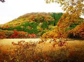 201211