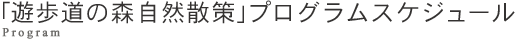 uV̐XRUvvOXPW[