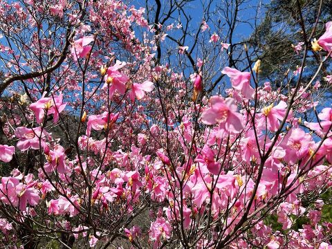 ��������r�W�^�[�Z���^�[ �X�V���