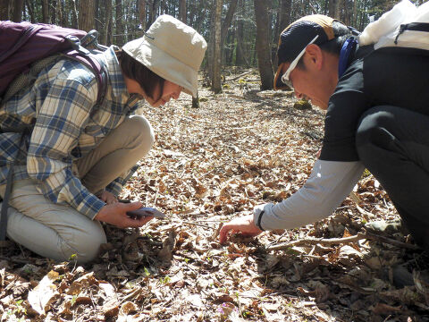 ��������r�W�^�[�Z���^�[ �X�V���