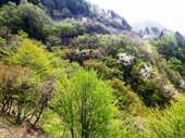 塩那スカイライン
