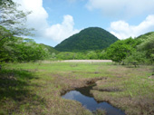 大沼から新湯富士を望む