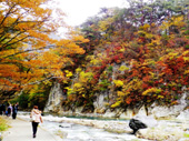 箒川渓谷(七ッ岩吊橋付近)