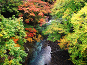 鹿股川渓谷(前山コース)