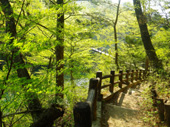 回顧コース
