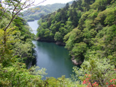 回顧の吊橋(大正浪漫街道から)