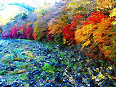 温泉街の渓谷紅葉
