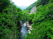 初夏の箒川渓谷