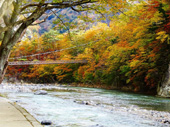 箒川渓谷 七ッ岩吊橋